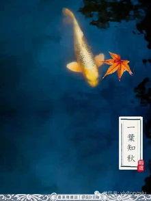 立秋吃瓜的古诗,古韵诗中的时令美味