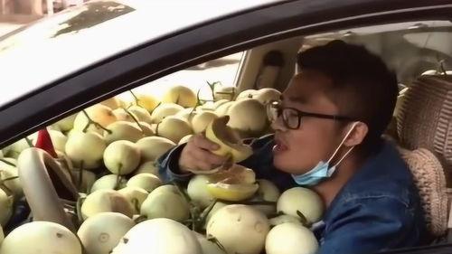 车上的人吃瓜,车内乘客共享美味瓜果时光