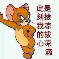 英俊的吃瓜群众图片,英俊面孔下的热议焦点